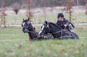 oefenmarathon 2016 MG 0077-0077 